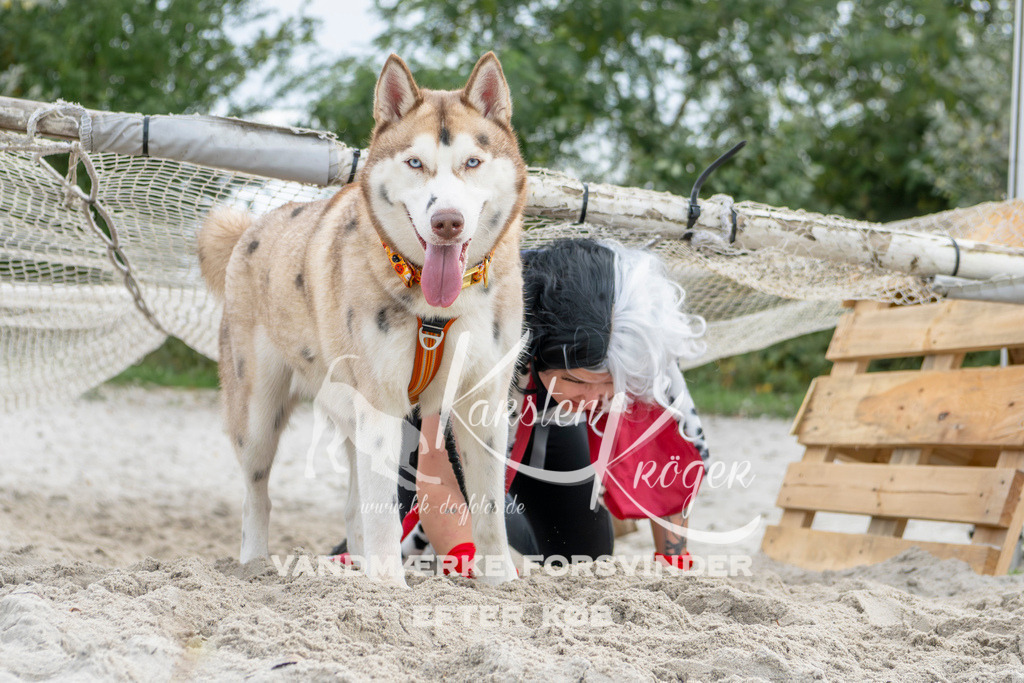 1510_ZZ93306 | kk-dogfotos