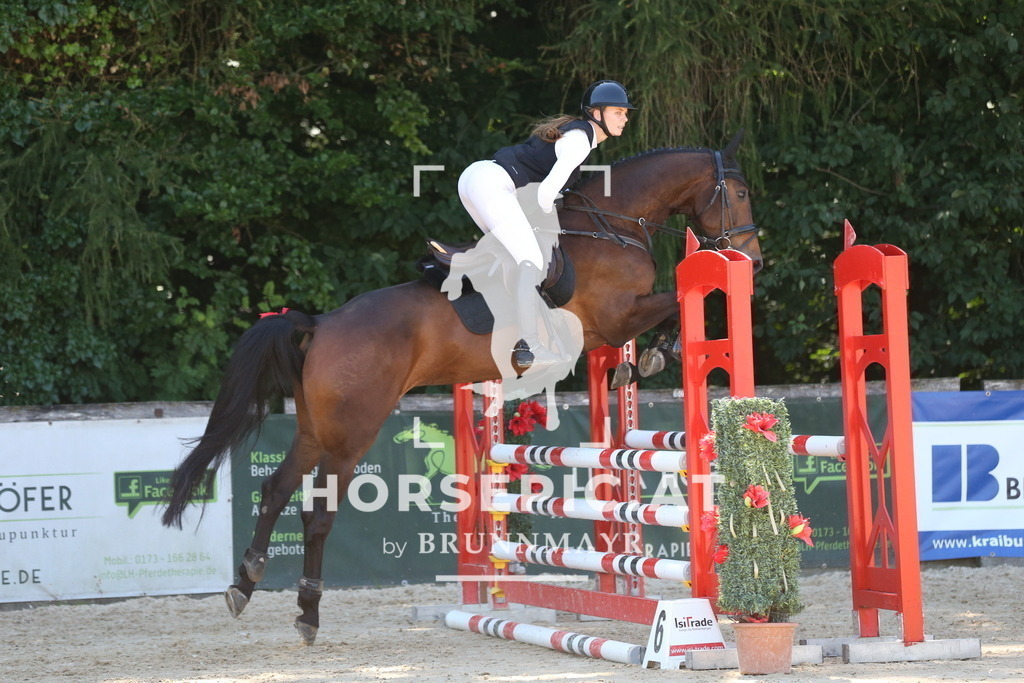 DL2Q9126 | Willkommen bei Brunnmayr - Design & Fotografie – Ihrem Spezialisten für Reitturniere und Pferdeveranstaltungen in Oberösterreich, Salzburg und Bayern! Seit über 17 Jahren sind wir leidenschaftlich dabei.