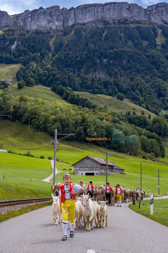 Alpabzug Appenzell | Der Alpabzug in Appenzell ist ein eindrucksvolles Schauspiel, bei dem Mensch, Tier und Brauchtum in harmonischem Einklang stehen. Festlich geschmückte Kühe, stolze Sennen in traditioneller Tracht und die Klänge der Kuhglocken prägen dieses einzigartige Ereignis.Das Bild hält nicht nur einen Moment fest, sondern erzählt von der tief verwurzelten Kultur und der Liebe zur Heimat. Ein Stück Schweizer Lebensgefühl – lebendig, farbenfroh und voller Tradition.