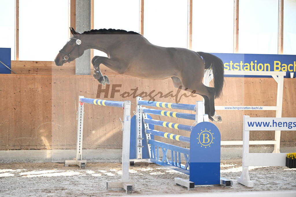 Kat-Nr. 63 Kelly du Tillard v. Aganix Du Seigneur_Keitel_14261721 | hf-fotografie - Realisiert mit Pictrs.com