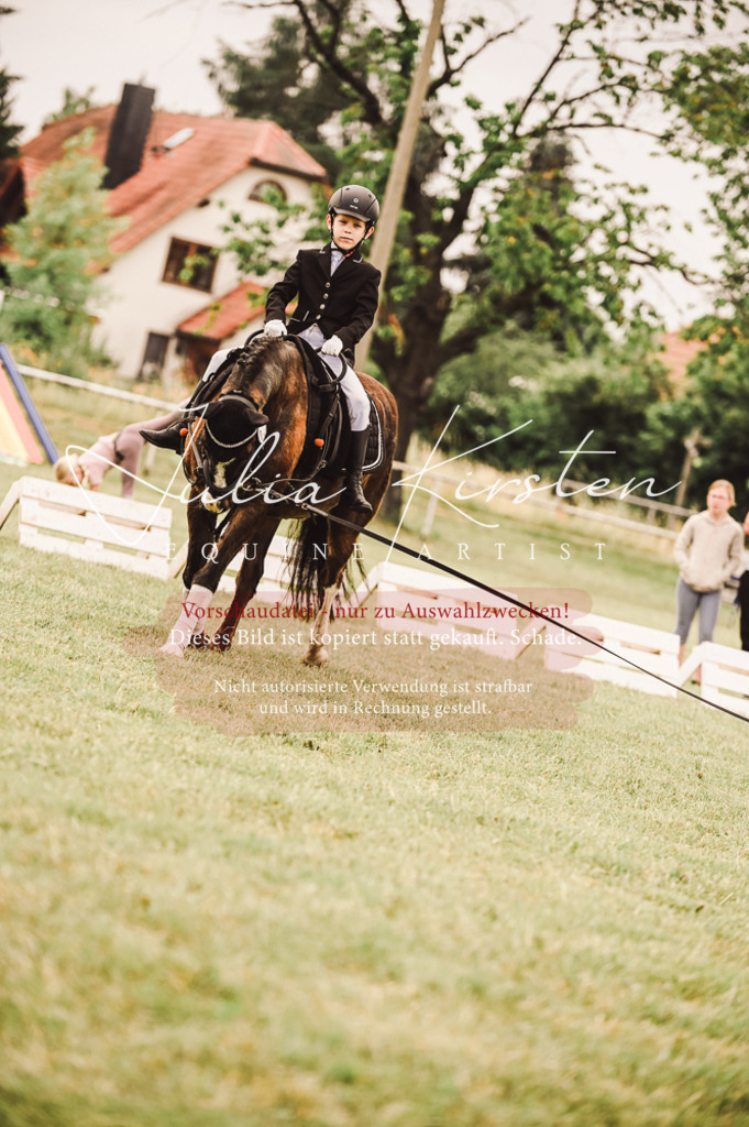 DSC_5307 | Pferde- und Turnierfotografie in Westsachsen. Pferdeportraits, Auftragszeichnungen und intuitive Kunst.