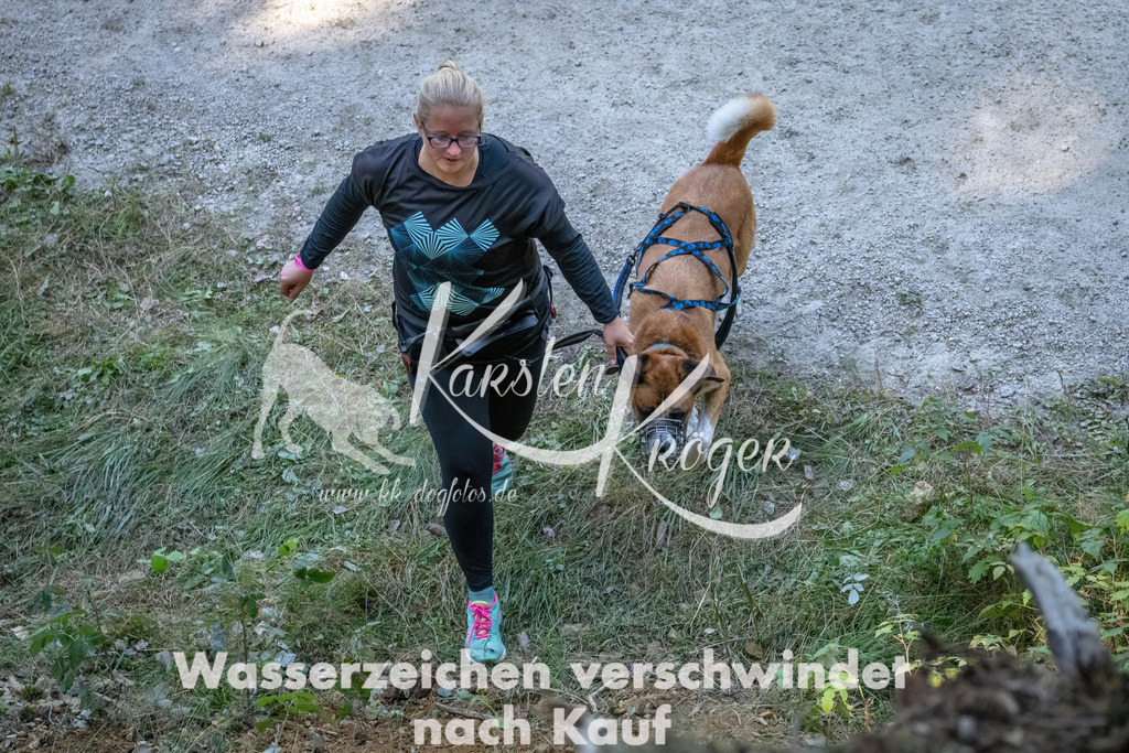 1201_ZZ92964 | kk-dogfotos