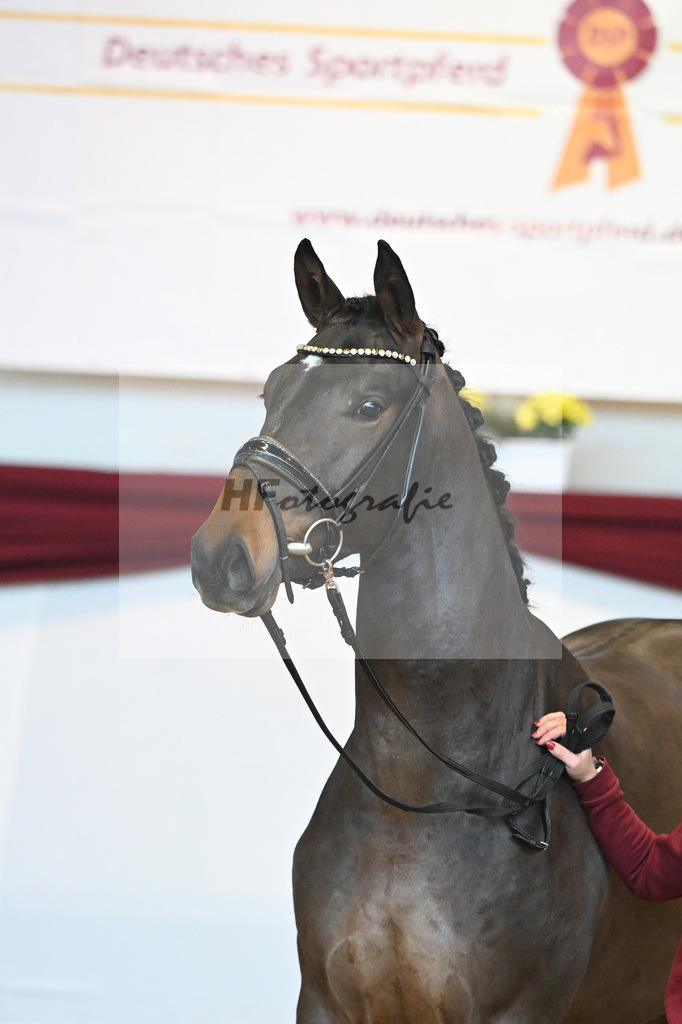Kat-Nr. 43 v. Mykonos_Sommer_66220942 | hf-fotografie - Realisiert mit Pictrs.com