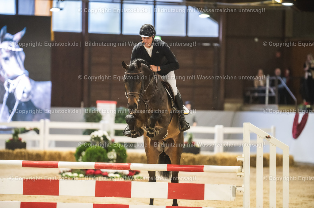 20240302_Hengstvorstellung_Marbach_TOMsPiC_0111-2 | equistock
