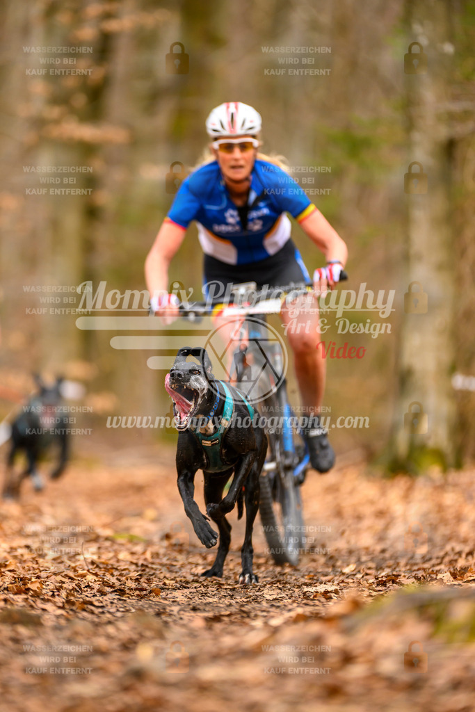 MompixPhotography_Habay2025_SA_Bike-59 | PayLife