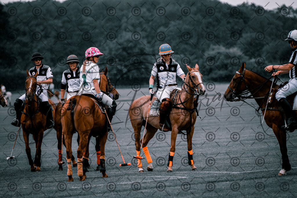 POL_2551-2 | andre_photographic