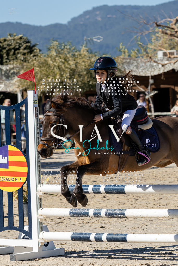 IMG_9185 | s-jay-photography - Realisiert mit Pictrs.com