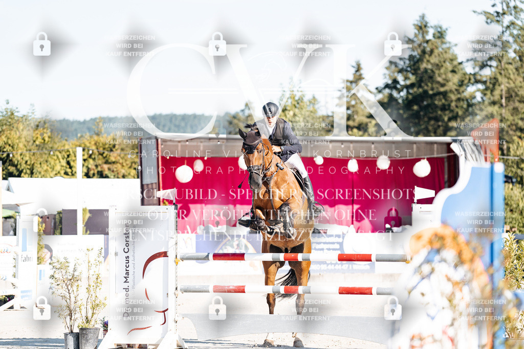 CK904186 | Turnierfotografie Pferdefotografie Trier Rheinland-Pfalz Pferdesport Reitsport Tierfotografie Sportfotografie Pferdevideo Pferdevideografie Equestrianvideography equestrianphotography  - Realisiert mit Pictrs.com