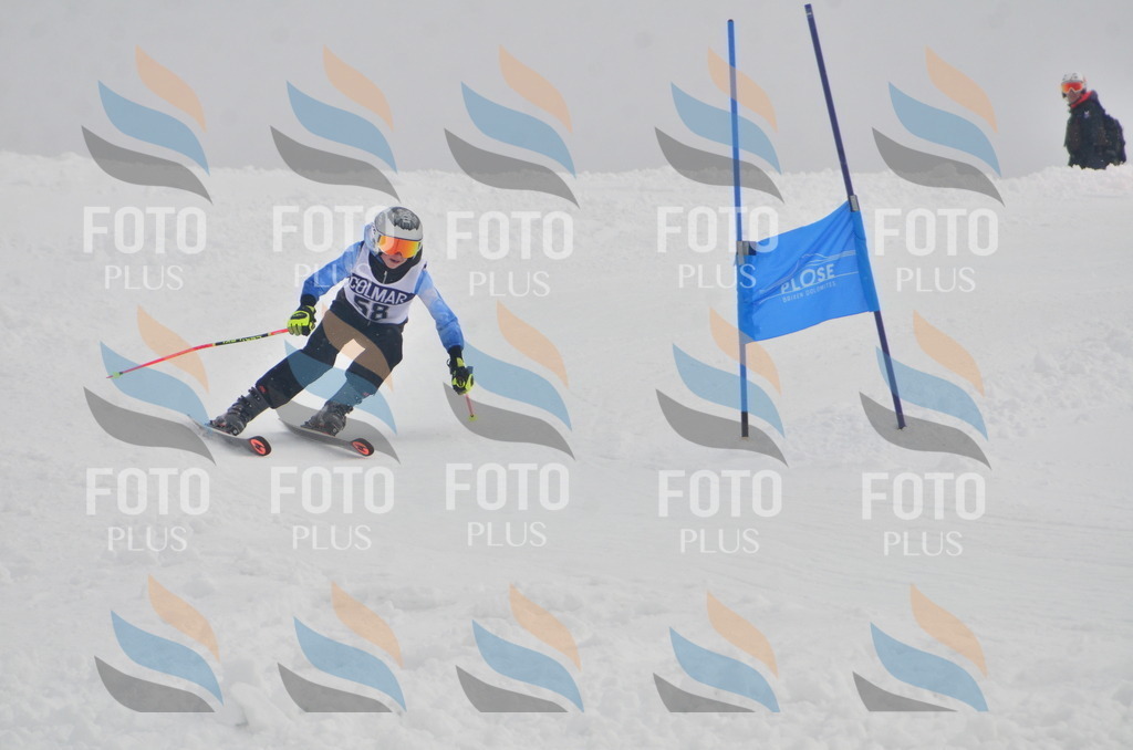 A5452 | holidayphoto