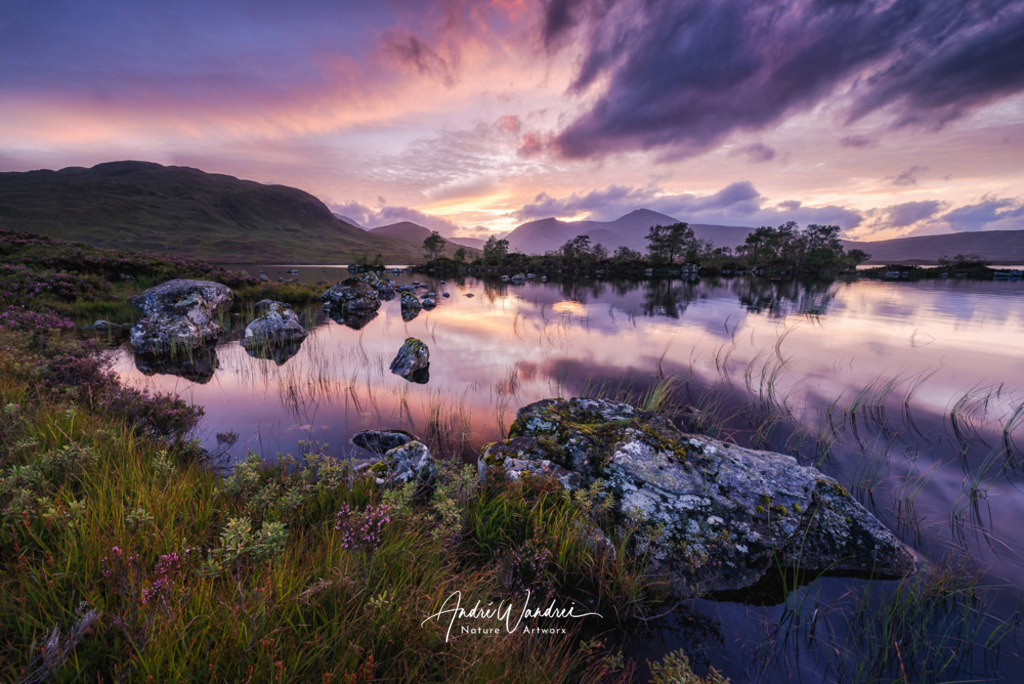 Mystisches Ufer | Andre Wandrei - Nature Artworx - Realisiert mit Pictrs.com