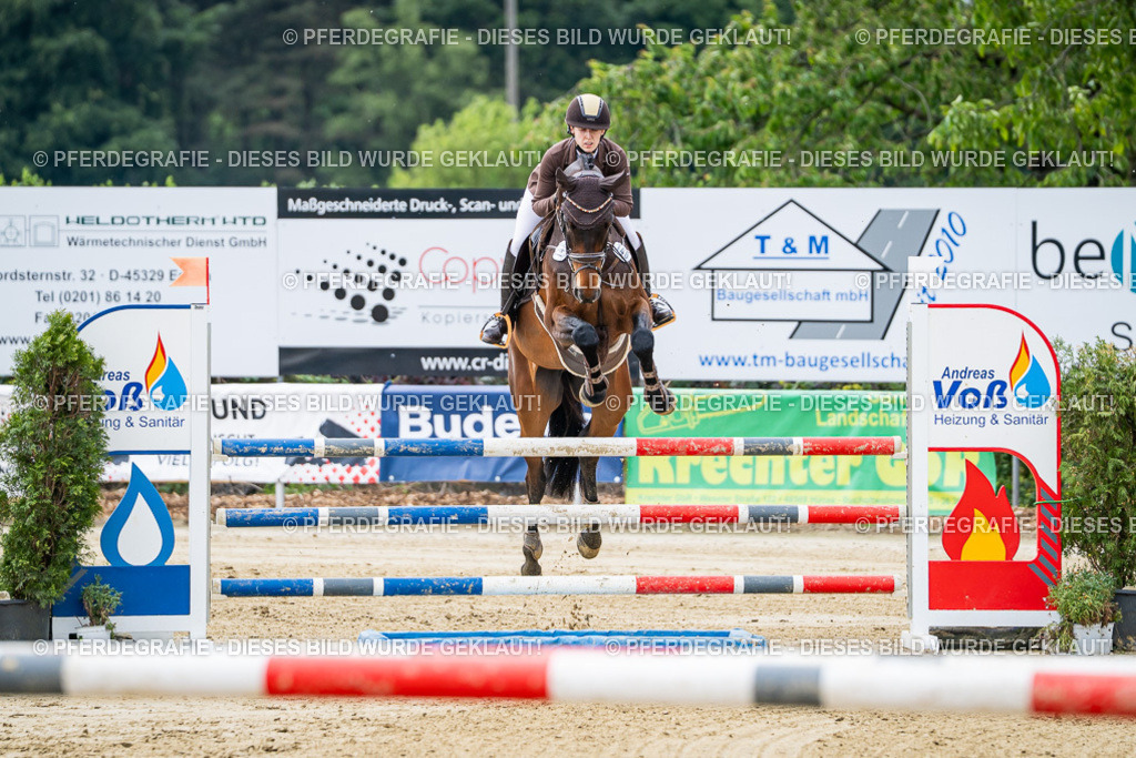 DSC04978 | Pferdegrafie