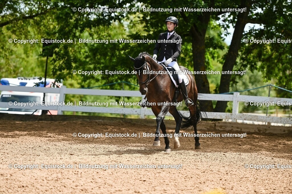 20230716_03_Dressurprfg. Kl.L - Tr._0580 | equistock