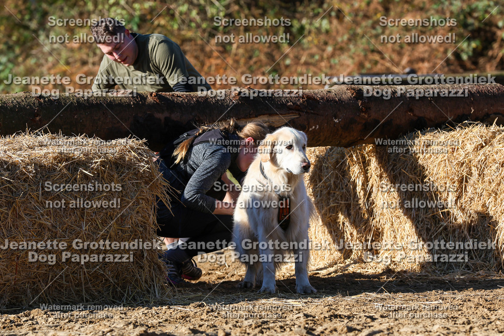 Dog Paparazzi - Strongdog 10-25-2056 | Dog Paparazzi Jeanette Grottendiek Fotografie & Videografie - Realisiert mit Pictrs.com