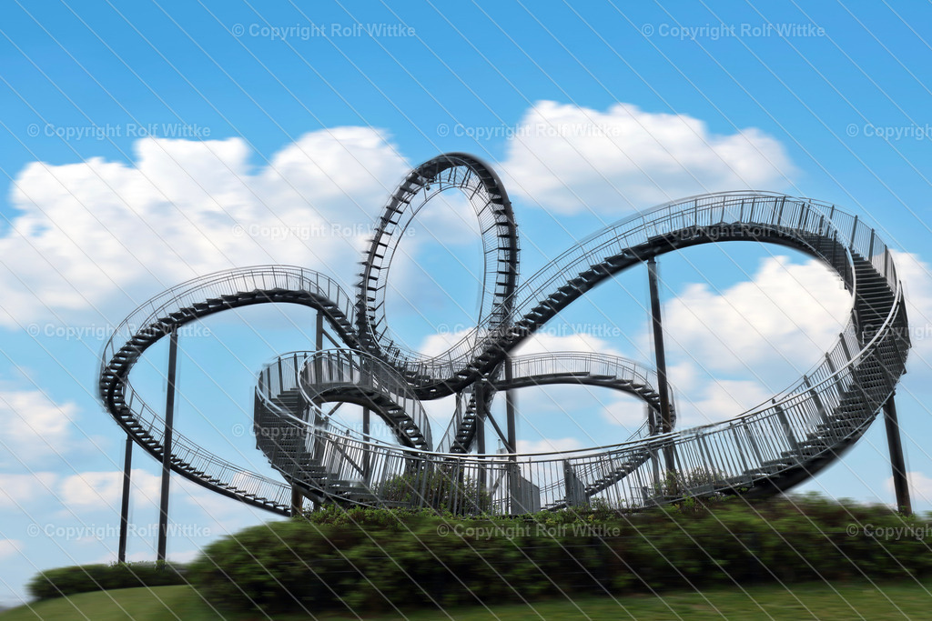 tiger turtle | dasTigerTurtle - Realisiert mit Pictrs.com