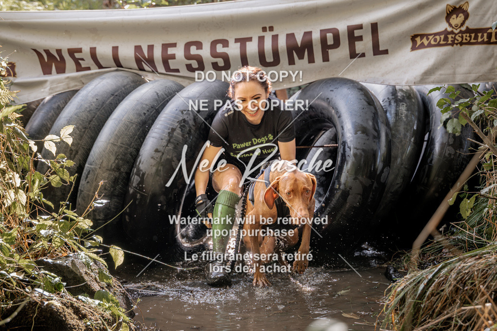 nelerasche_Hunsrück2026_Sa1400-1500_380 | nelerasche