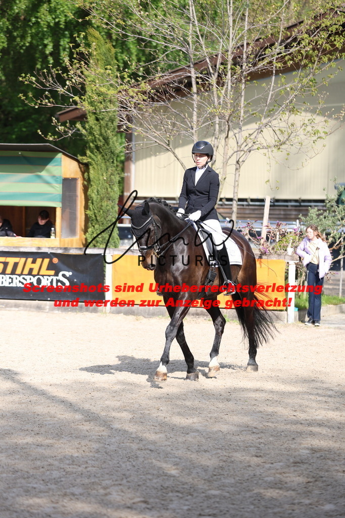 A40A3754 | lmwpictures - Realisiert mit Pictrs.com