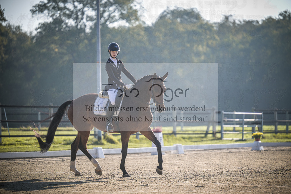 DOS_0195 | Entdecke hochwertige Reitturnierfotos von Foto Oger. Professionell, emotional und authentisch – jetzt Lieblingsmomente im Shop bestellen.Deutschlandweite Turnierfotografie. - Realisiert mit Pictrs.com