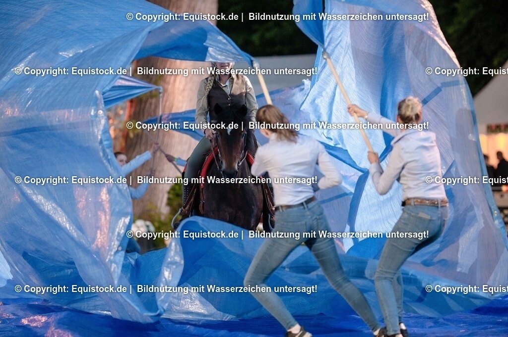 20250606_Lange-Pferdenacht_0999 | Foto: Thomas Hartig