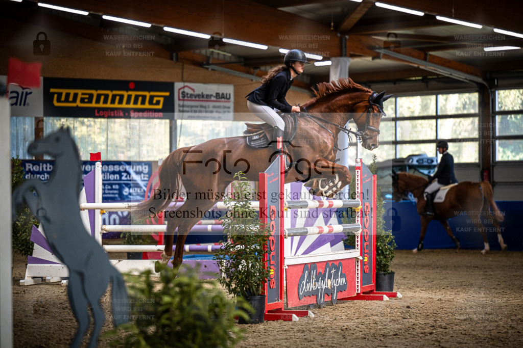 DOS_2490 | Entdecke hochwertige Reitturnierfotos von Foto Oger. Professionell, emotional und authentisch – jetzt Lieblingsmomente im Shop bestellen. - Realisiert mit Pictrs.com