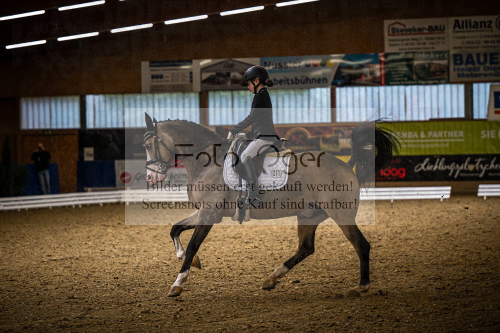 DOS_4149 | Entdecke hochwertige Reitturnierfotos von Foto Oger. Professionell, emotional und authentisch – jetzt Lieblingsmomente im Shop bestellen.Deutschlandweite Turnierfotografie. - Realisiert mit Pictrs.com
