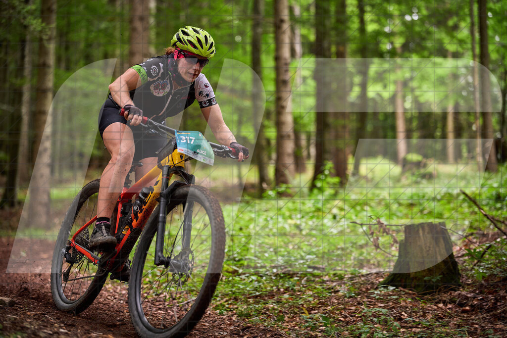 Betriebszentrum Laubenbachmühle, Frankenfels, Österreich - 13. September 2025: Dirndltal Race - Fun und Trophy RaceFotograf: Martin Bihounek / martinbihounek.com | 13. September 2025 Betriebszentrum Laubenbachmühle, Frankenfels, Österreich : Dirndltal Race - Fun und Trophy Race •••••Photo by: Martin Bihounek / martinbihounek.comInsta: @martinbihounekcom