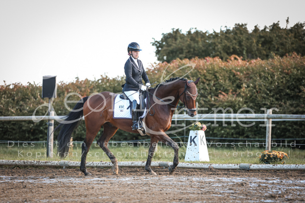 07.SoDrE00166 | Leoni Ertmer Photography - Realisiert mit Pictrs.com