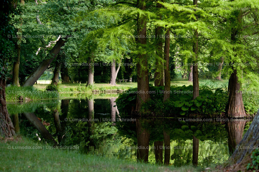 100494-4267 - Schlosspark Krumke | Stockfoto und Bilderpool mit Bildmaterial aus Deutschland, dem Harz, Halberstadt, Quedlinburg, Wernigerode und weltweit. Qualitativ hochwertige und professionelle Fotos anschauen und kaufen. - Realisiert mit Pictrs.com