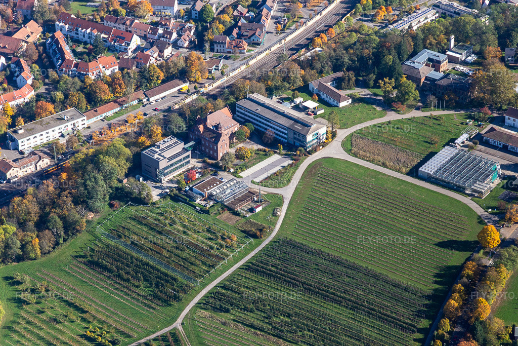 Luftbild: Landwirtschaftliches Technologiezentrum Augustenberg im Ortsteil Durlach in Karlsruhe im Bundesland Baden-Württemberg in Deutschland. Foto: IMG_129865.jpg vom 24.10.2021 durch Werner Riehm/FLY-FOTO.de