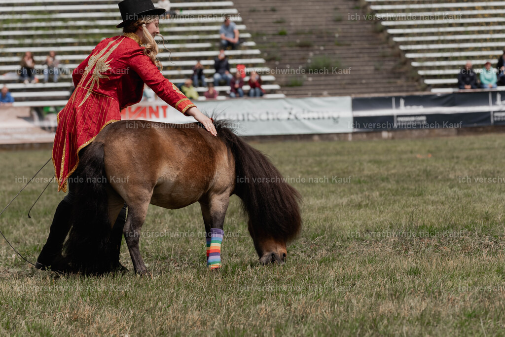 Showprogramm-239 | working equitationturnier fotograf videograf stoibphotography marixx film working equitation deutschland reitsport turnierfotografie eventfotografie equestrian events
