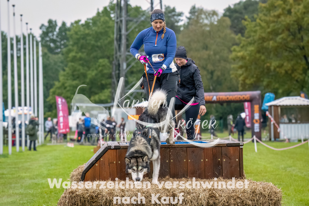 1027--9 | kk-dogfotos