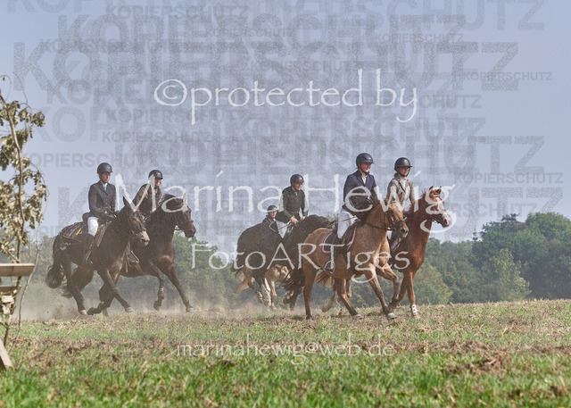 09-23 Jagd Perdöl_MCH0085_Marina Hewig | Fotografie, FotoArt, PferdesportArt, Pferdesportfotografie, Landschaftsfotografie, Reisefotografie, Reise, Pferde - Realisiert mit Pictrs.com