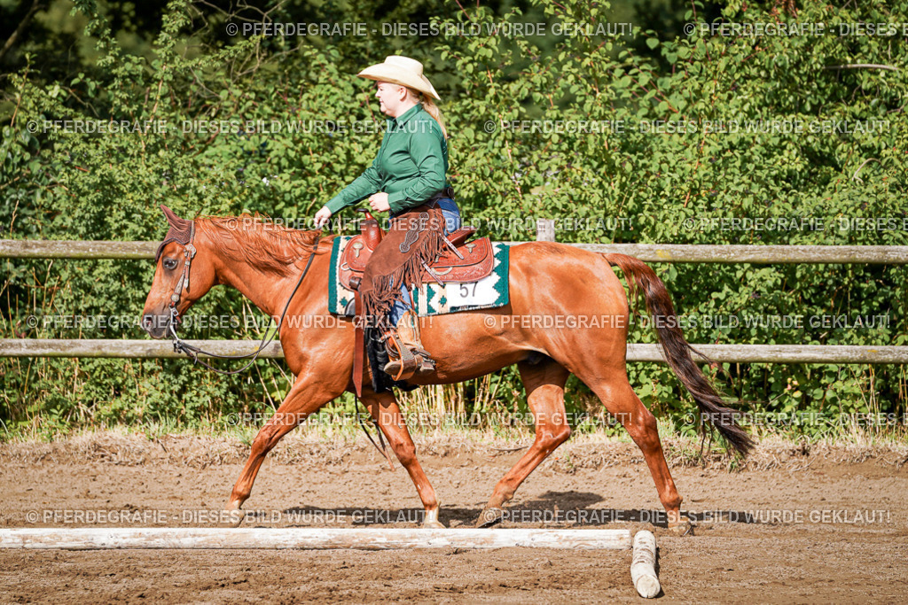 DSC00105 | Pferdegrafie