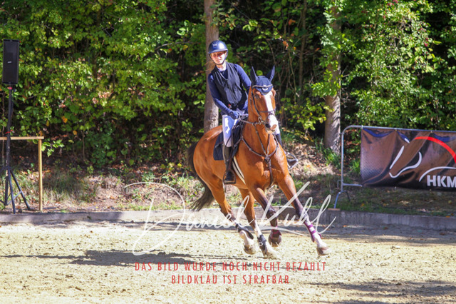 DKP43206 | Deine Turnierfotos vom Reitturnier online kaufen: Dressur, Springen & Siegerehrung. Professionelle Pferdefotografie aus dem Rheinland – als Download & Print.Alternative: Turnierfotograf für den Pferdesport: Finde deine Fotos von Dressur- und Springturnier