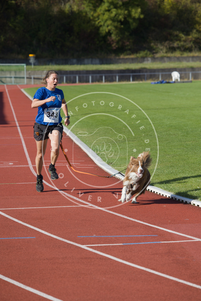 0L8A9262 | Hundefotografie, Tierfotograf, Pfotenfotografie, Fotoshooting Hund, Hunde Portrait, Hundesport, Hundeportraits, Heideshooting, Hunde, Sportfotograf, Hundefotograf, Turnierhundsport, THS,  - Realisiert mit Pictrs.com