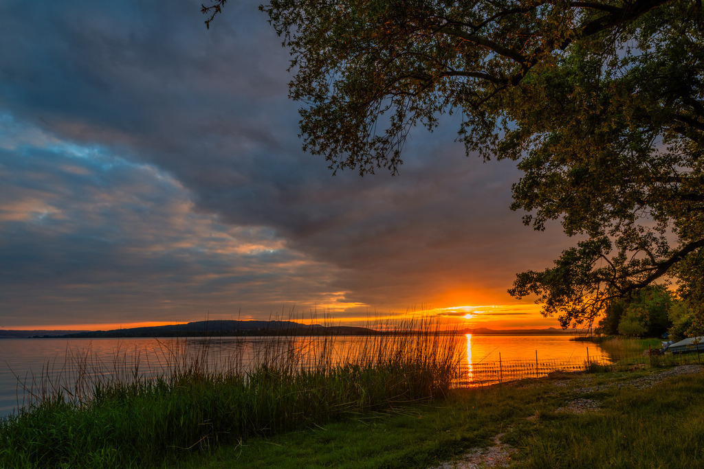 Sonnenuntergang am Bodensee | <div id="allefotografen-seal-verified-green"></div><script src="https://www.allefotografen.de/956728/seal-verified-green/seal.js" async="async"></script> - Realisiert mit Pictrs.com