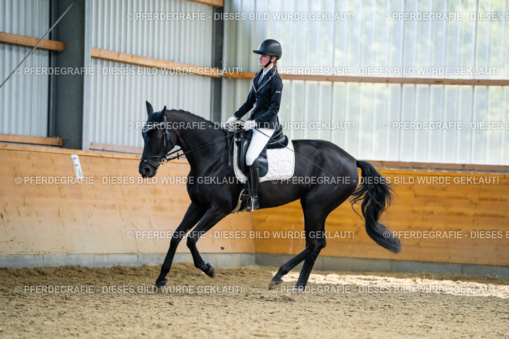 DSC05905 | Pferdegrafie