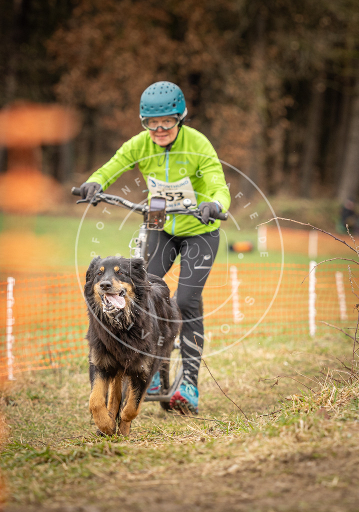DV3A1648 | Hundefotografie, Tierfotograf, Pfotenfotografie, Fotoshooting Hund, Hunde Portrait, Hundesport, Hundeportraits, Heideshooting, Hunde, Sportfotograf, Hundefotograf, Turnierhundsport, THS,  - Realisiert mit Pictrs.com
