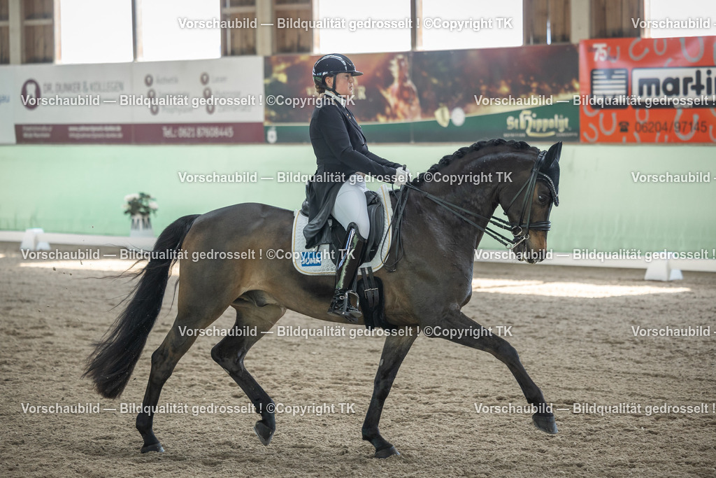 _D5A9465 | Emotionale Pferde- & People-Fotografie rund um Heidelberg, Leimen & Umgebung. Natürliche Fotos von Pferd, Mensch & Familie. Jetzt Termin sichern!