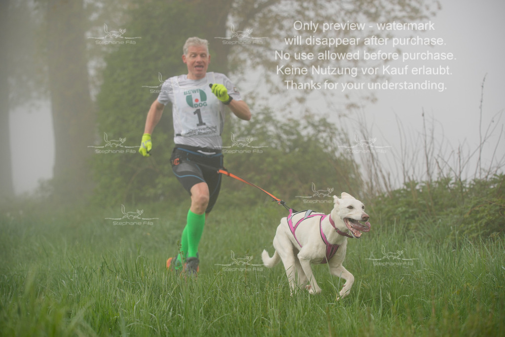 SA_GL2-7 | stephaniefillaphotographie - Realisiert mit Pictrs.com