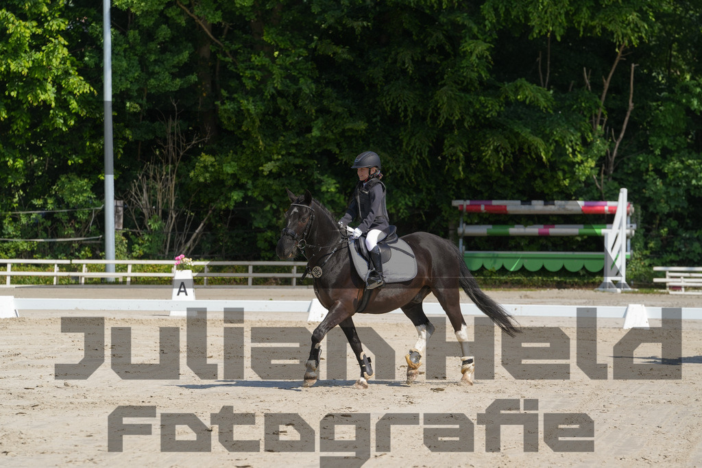 DSC03203 | Julian Held Fotografie - Realisiert mit Pictrs.com