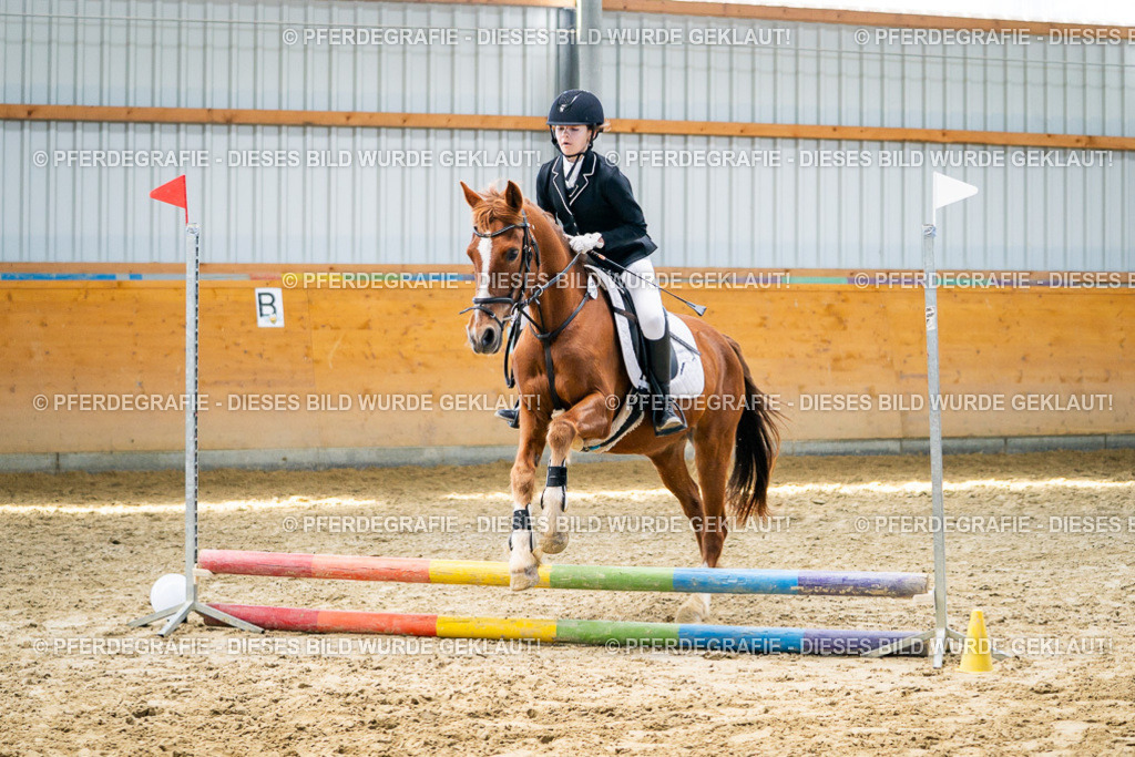 DSC02180 | Pferdegrafie