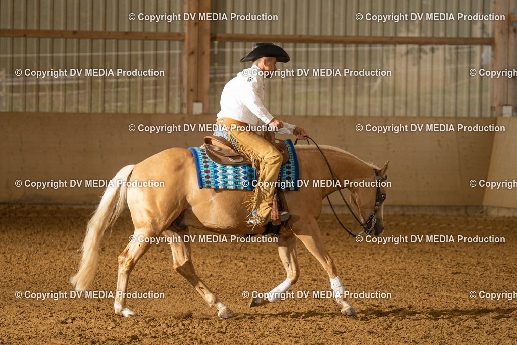 LAU00996 | dv-media-shop - Realisiert mit Pictrs.com