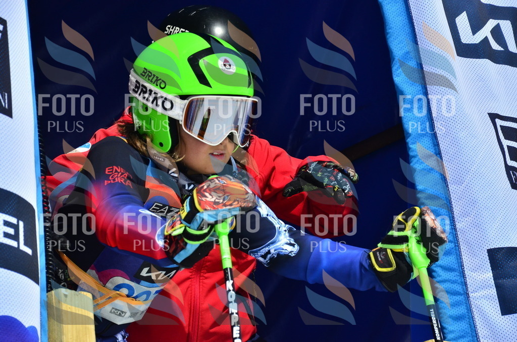 _ELE1416 | holidayphoto