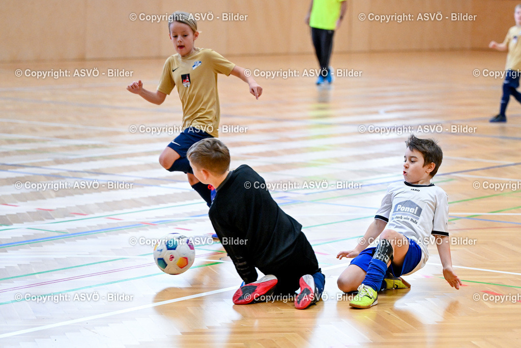 ASVÖ_ Fussballturnier SV Gallneukirchen_ 09.02.2025-63 | 09.02.2025, Gallneukirchen, AUT, ASVÖ, Fussball Nachwuchs Hallenturnier 2025, SV Gallneukirchen im Bild Teilnehmer U 9©Harald Dostal / fodo.media - Realisiert mit Pictrs.com