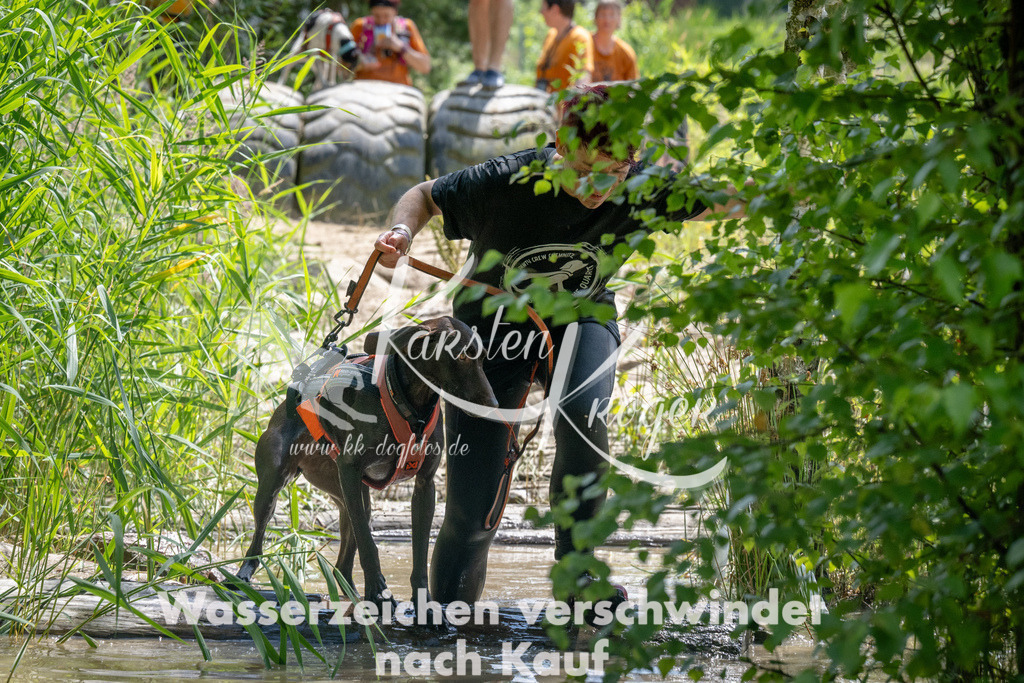 1433_ZZ90242 | kk-dogfotos