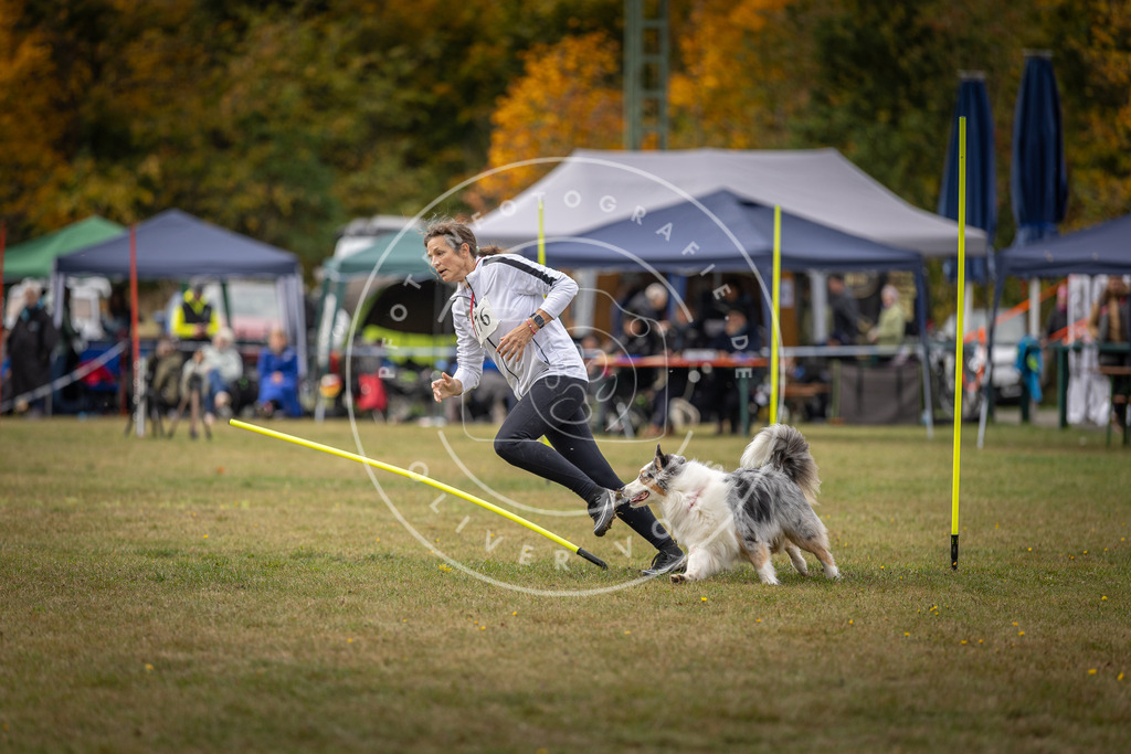Pfotenfotografie_DV3A5803 | Hundefotografie, Tierfotograf, Pfotenfotografie, Fotoshooting Hund, Hunde Portrait, Hundesport, Hundeportraits, Heideshooting, Hunde, Sportfotograf, Hundefotograf, Turnierhundsport, THS,  - Realisiert mit Pictrs.com
