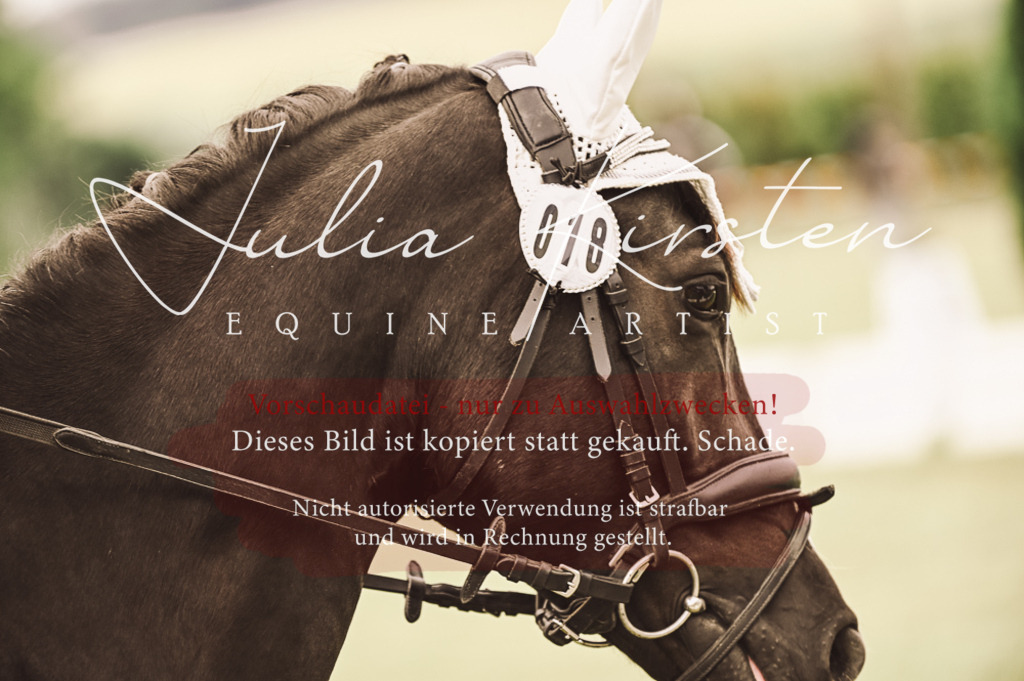 DSC_4821 | Pferde- und Turnierfotografie in Westsachsen. Pferdeportraits, Auftragszeichnungen und intuitive Kunst.