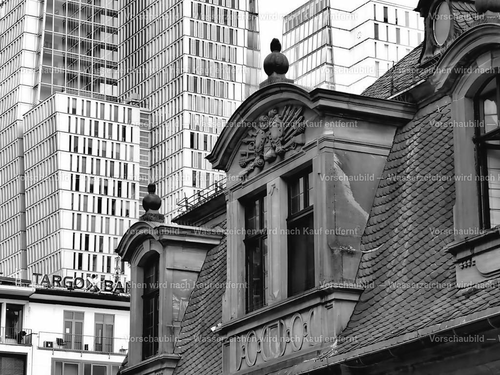 Frankfurter Kontraste | online Fotogalerie mit schwarz-weiß Fotografien und Shop für zeitlose  Poster und Leinwände in stilvollem schwarz weiß  - Realisiert mit Pictrs.com