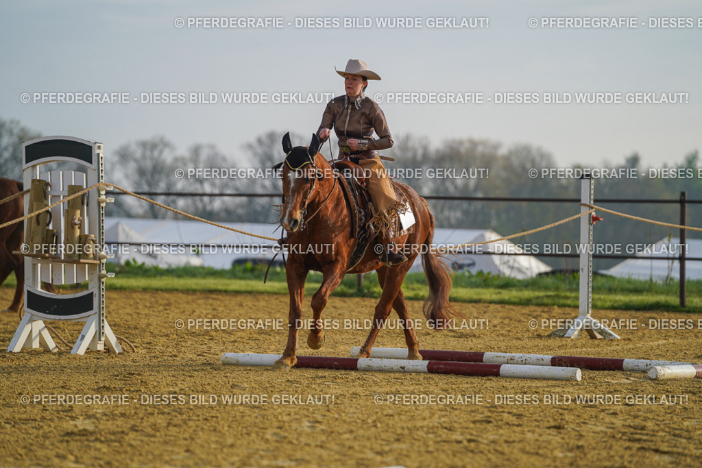 DSC09803 | Pferdegrafie