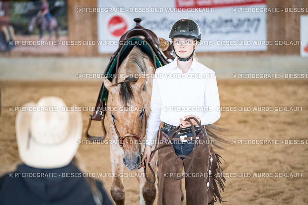 DSC01422 | Pferdegrafie